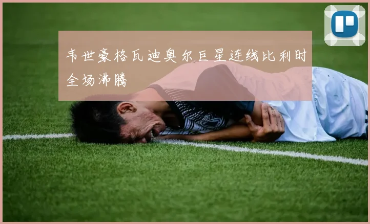 韦世豪格瓦迪奥尔巨星连线比利时全场沸腾