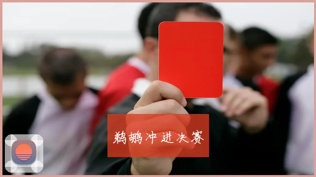 鹈鹕冲进决赛