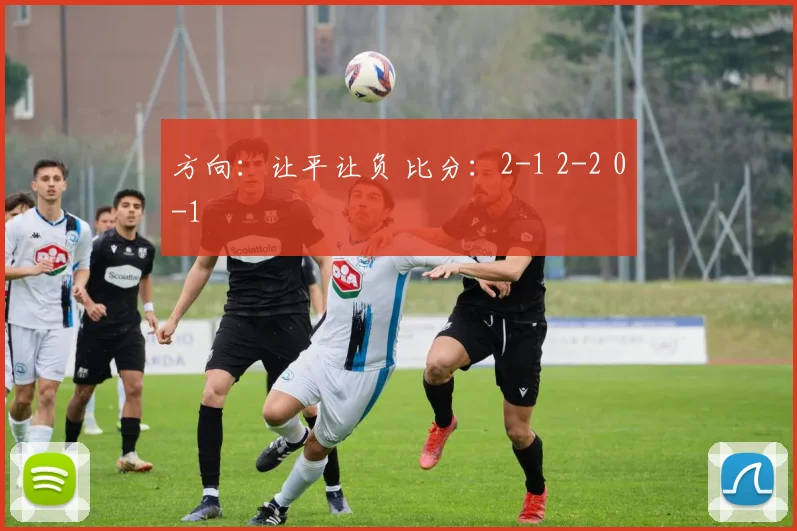 方向：让平让负 比分：2-1 2-2 0-1