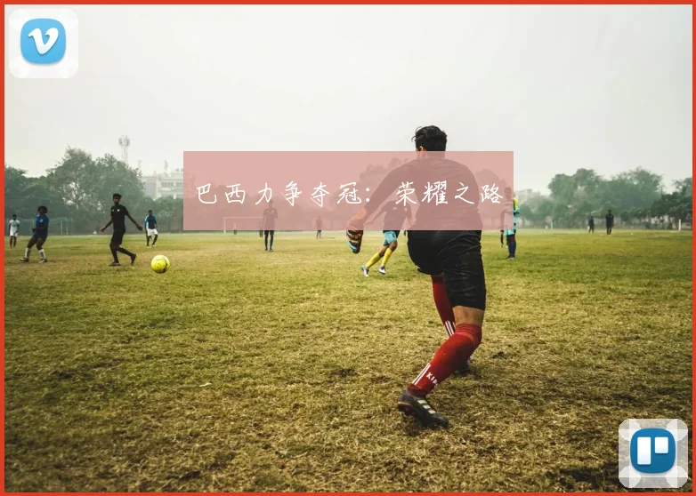 巴西力争夺冠：荣耀之路