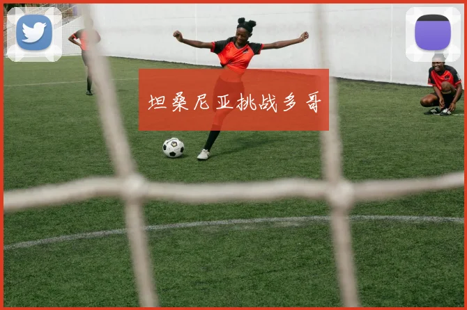 坦桑尼亚挑战多哥