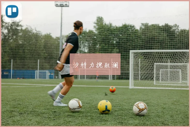 沙特力挽狂澜