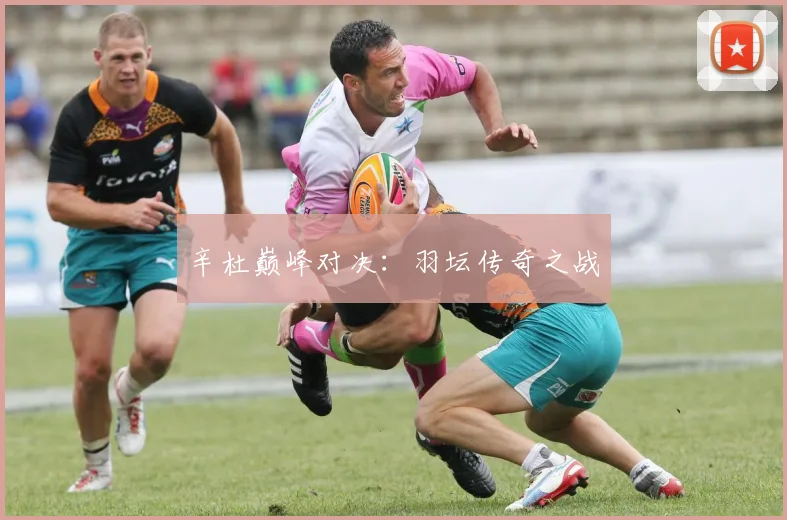 辛杜巅峰对决：羽坛传奇之战