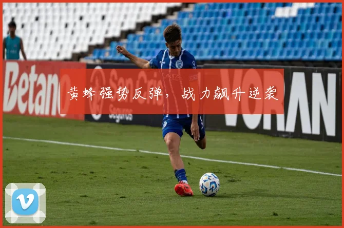 黄蜂强势反弹，战力飙升逆袭