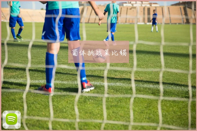 葡体挑战莱比锡