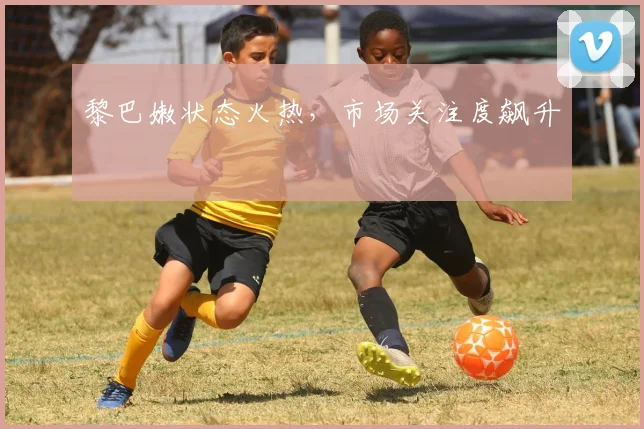 黎巴嫩状态火热，市场关注度飙升