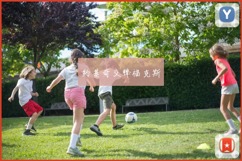 约基奇交锋福克斯
