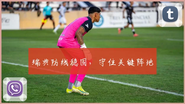 瑞典防线稳固，守住关键阵地