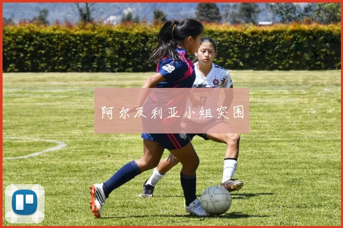 阿尔及利亚小组突围