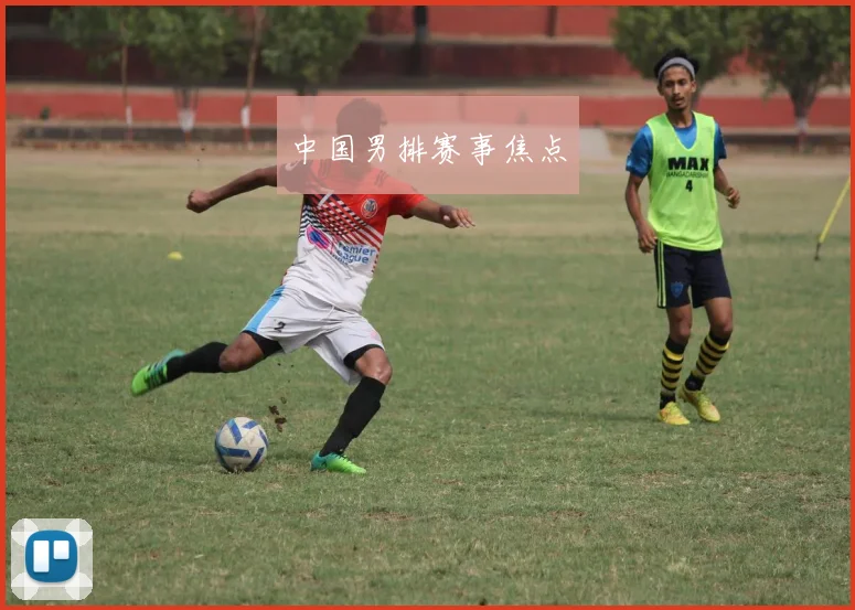 中国男排赛事焦点