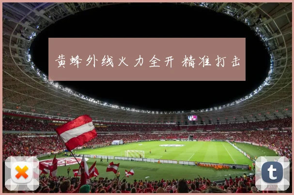 黄蜂外线火力全开 精准打击