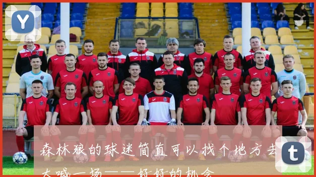 森林狼的球迷简直可以找个地方去大喊一场——好好的机会