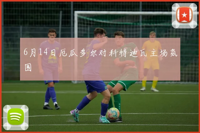 6月14日厄瓜多尔对科特迪瓦主场氛围