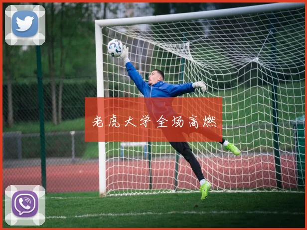 老虎大学全场高燃