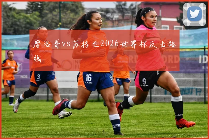 摩洛哥vs苏格兰2026世界杯反击路线