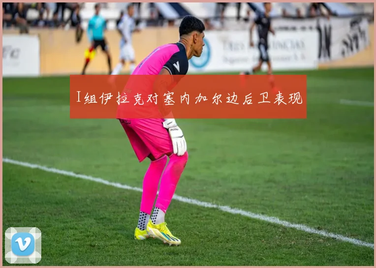 I组伊拉克对塞内加尔边后卫表现