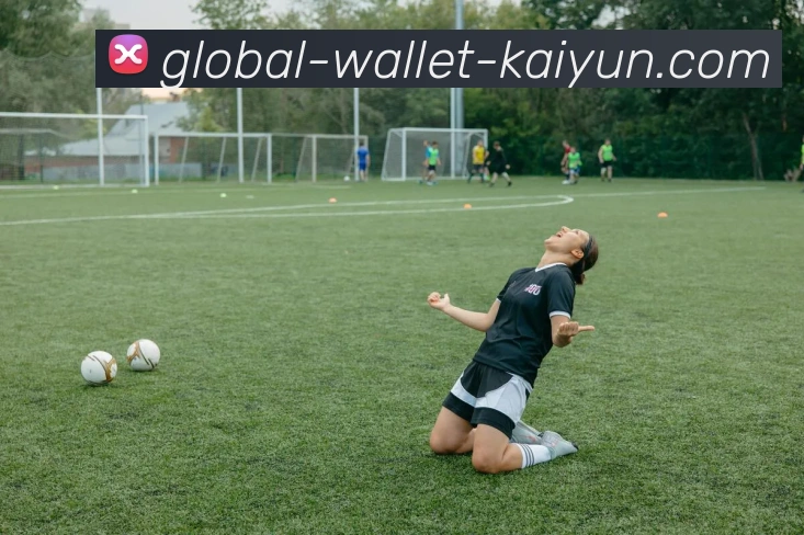 开云Kaiyunapp下载地址安全登录