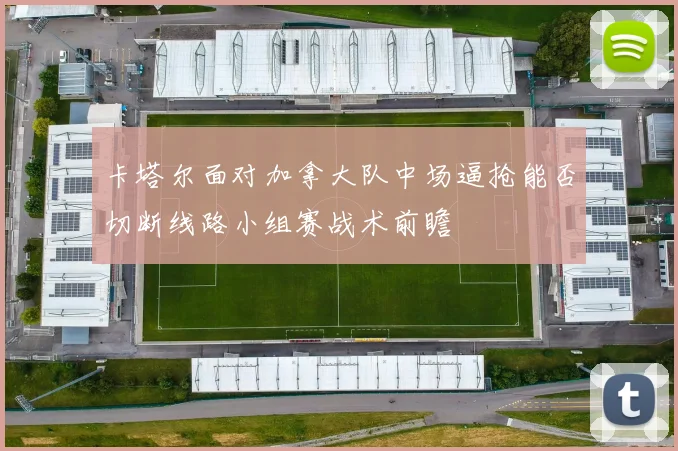 卡塔尔面对加拿大队中场逼抢能否切断线路小组赛战术前瞻